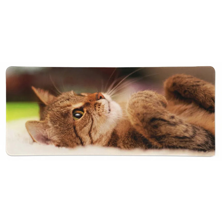 Tapis de Souris XXL - L'Éveil de la Tendresse (Design Chat Tigré)