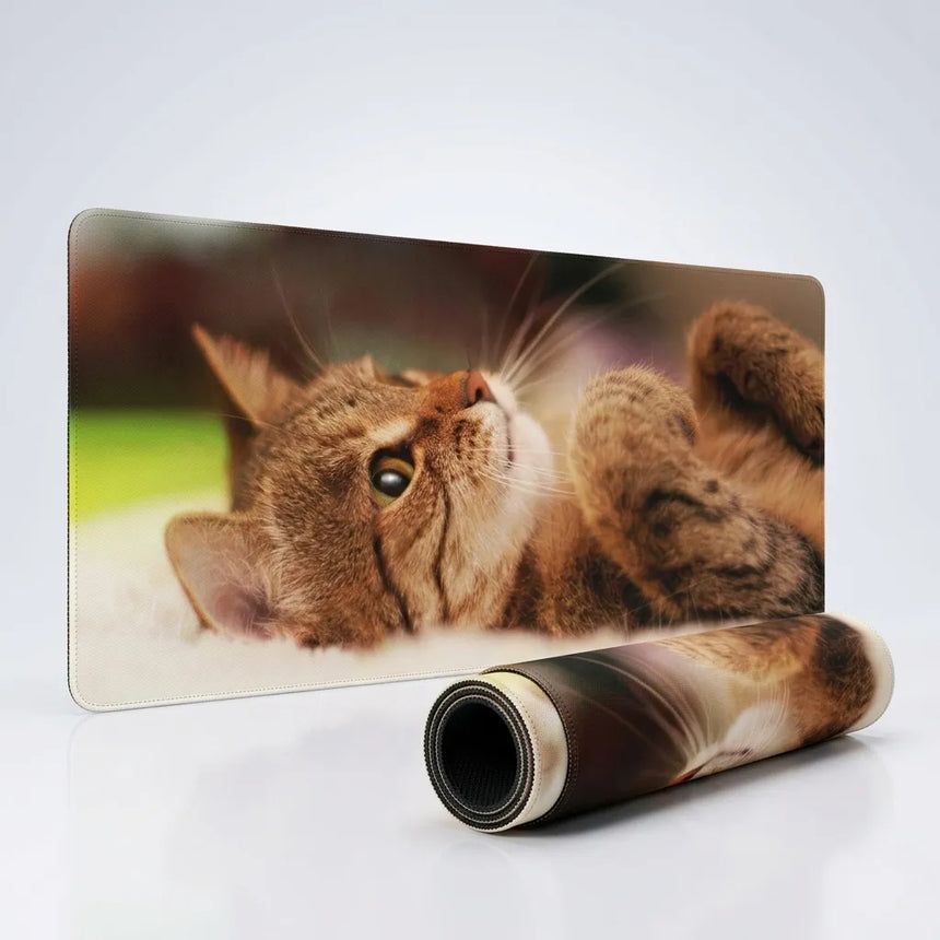 Tapis de Souris XXL - L'Éveil de la Tendresse (Design Chat Tigré)