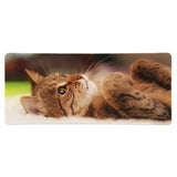 Tapis de Souris XXL - L'Éveil de la Tendresse (Design Chat Tigré)