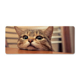 Tapis de Souris XXL - Regard Félin Curieux - Finition Premium