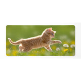 Tapis de souris XXL - Chaton roux et Pissenlits - Design Nature & Douceur