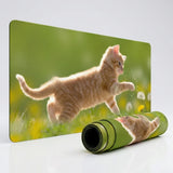 Tapis de souris XXL - Chaton roux et Pissenlits - Design Nature & Douceur