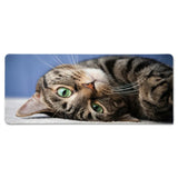 Tapis de souris XXL "Regard Félin" — Édition Collector Hyper-Réaliste